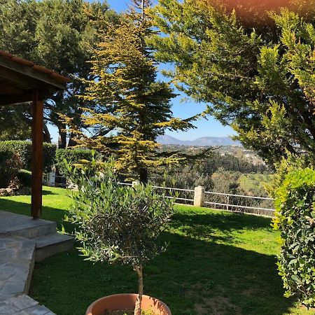 Βίλα Σοφία Πόρτο Ράφτη Εξωτερικό φωτογραφία
