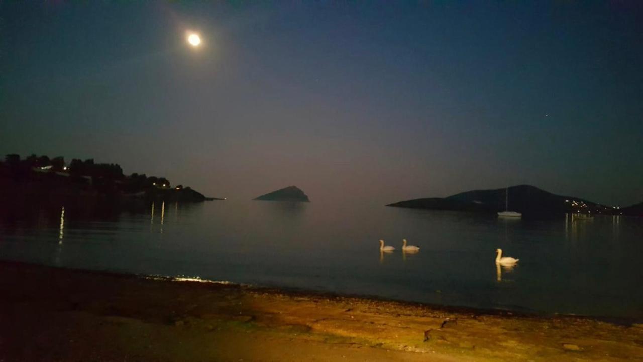 Βίλα Σοφία Πόρτο Ράφτη Εξωτερικό φωτογραφία