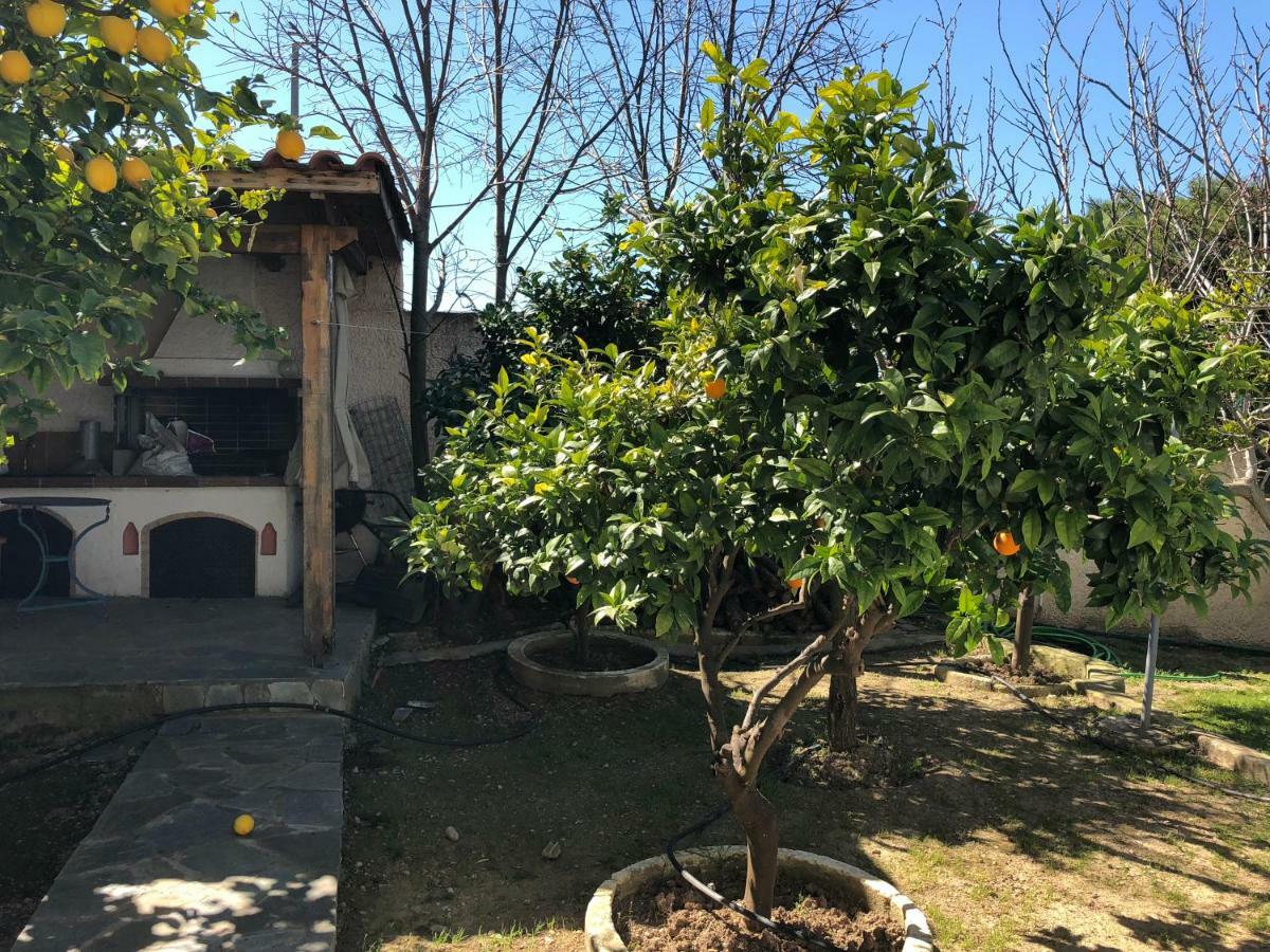 Βίλα Σοφία Πόρτο Ράφτη Εξωτερικό φωτογραφία