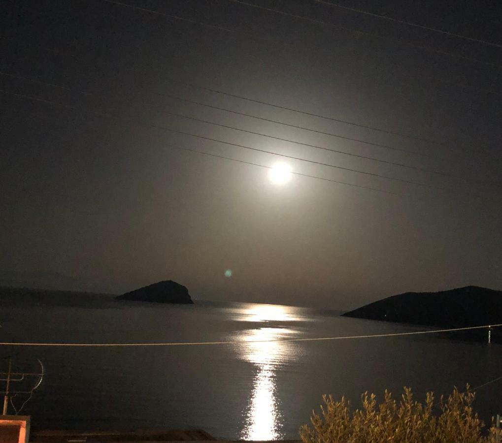 Βίλα Σοφία Πόρτο Ράφτη Εξωτερικό φωτογραφία