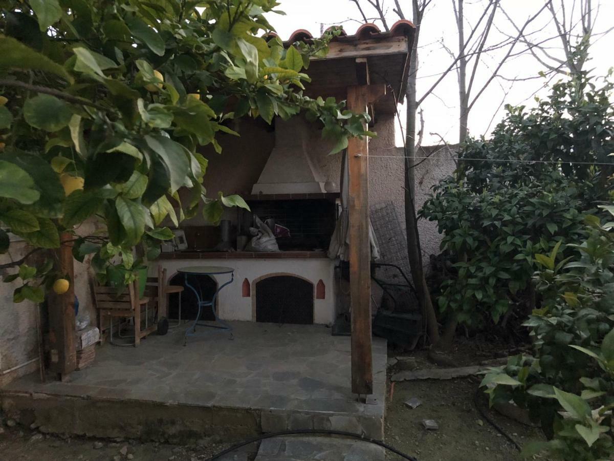Βίλα Σοφία Πόρτο Ράφτη Εξωτερικό φωτογραφία