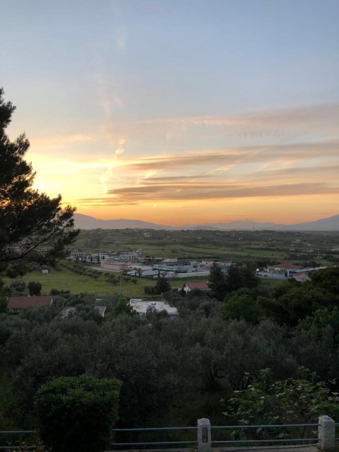 Βίλα Σοφία Πόρτο Ράφτη Εξωτερικό φωτογραφία